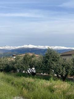 Casa Laurel - 3