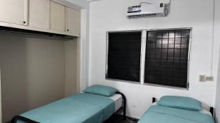 Peace 'N Green - Doleguita - 4