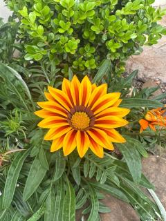 Pousada Blumengarten - 3