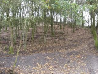 5 person holiday home in Esbjerg V-By Traum - 5