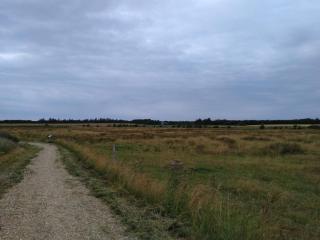 5 person holiday home in Esbjerg V-By Traum - 4