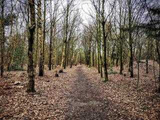 5 person holiday home in Esbjerg V-By Traum - 1