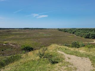 Tranquil Retreat in Bolilmark-By Traum - 4