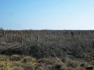 6 person holiday home in Storvorde-By Traum - 3