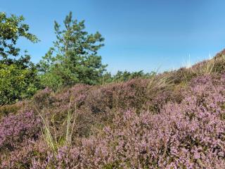 6 person holiday home in Rømø - 4