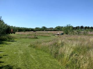 4 person holiday home in Fanø - 2