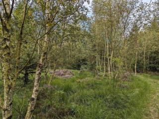 6 person holiday home in Toftlund-By Traum - 1