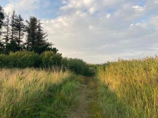 4 person holiday home in Hals-By Traum - 2