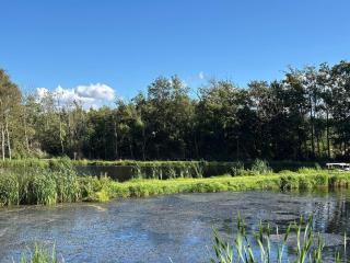 4 person holiday home in Hals-By Traum - 3