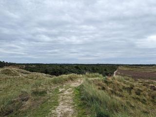 Secluded 60's Cottage - By Traum Ferienwohnungen - 3