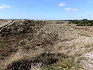 Secluded 60's Cottage - By Traum Ferienwohnungen - 2