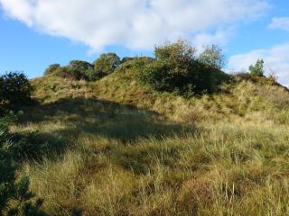 Tranquil Thatched Cottage on Romo-By Traum - 1