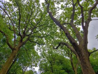 6 person holiday home in Oksbøl-By Traum - 7