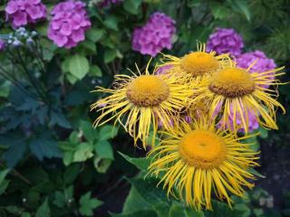 5 person holiday home in Hejls-By Traum - 5