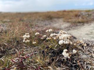 Seaside Escape in Laeso - By Traum Ferienwohnungen - 1