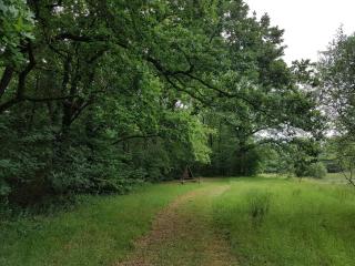 Cozy Retreat in Arrild - By Traum Ferienwohnungen - 4