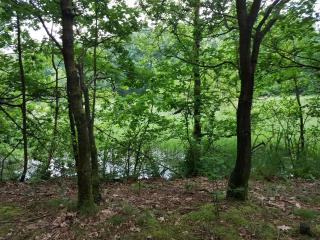 Cozy Retreat in Arrild - By Traum Ferienwohnungen - 3