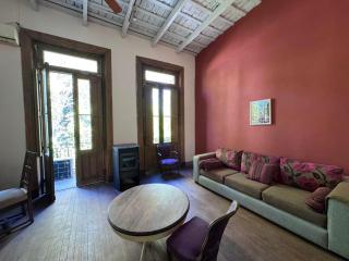 Antique,classy & quiet 3 bedroom and roof terrace apt in the heart of San Telmo - 2