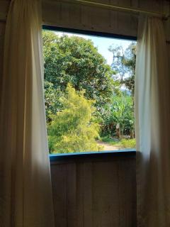 Casa Família Siewert Corupá - 2