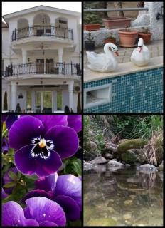 Villa Bella Boutique Hotel - Kavadarci - 3