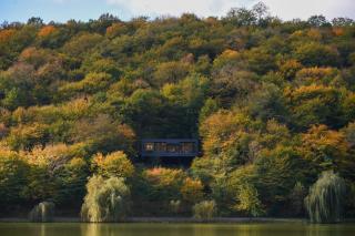 Lopota Lake Resort & Spa - Napareuli - 3