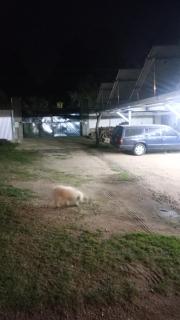 Garden Atelier Eco Friendly - 6