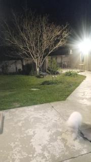 Garden Atelier Eco Friendly - 8