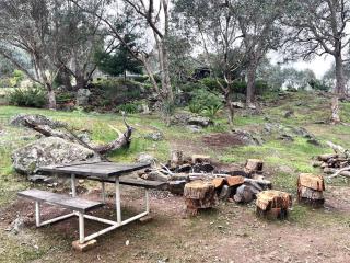 Riverfront, Tiny Home in Natural Bush - 8