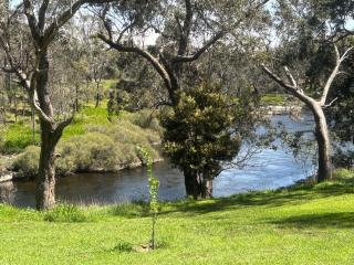 Riverfront, Tiny Home in Natural Bush - 7