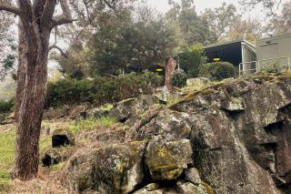 Riverfront, Tiny Home in Natural Bush - 5