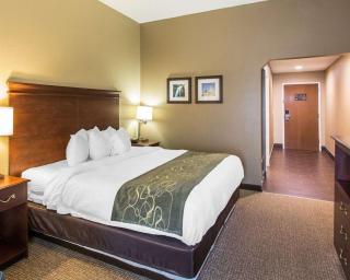 Comfort Suites Cookeville - 1