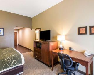 Comfort Suites Cookeville - 3