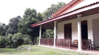 Villa Dillenia - 8