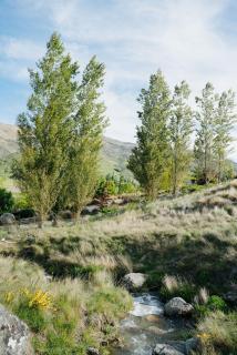Cardrona Alpine Villa - 5