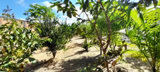 Sítio Amazônia Cop30 - 6