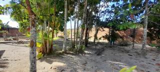 Sítio Amazônia Cop30 - 5