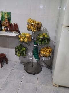 Sítio Amazônia Cop30 - 2