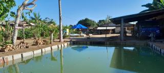 Sítio Amazônia Cop30 - 1