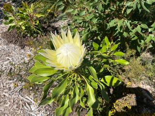 Carnarvon Castle Eagle Bay - 2