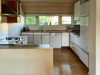 Lake View And Private Pier At Silkeborg Lakes - 6