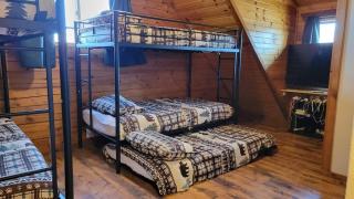 The Grizzly Den Cabin Warrens WI - 2