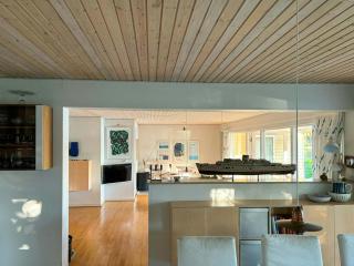 Lake View And Private Pier At Silkeborg Lakes - 3