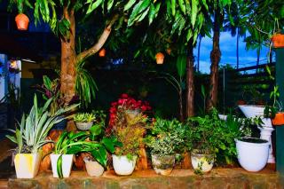 Yala Grand Homestay - 8