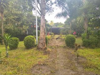 Quinta Kartagus - 7