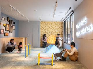 hotel anddoggy Kyoto Nijo - 6