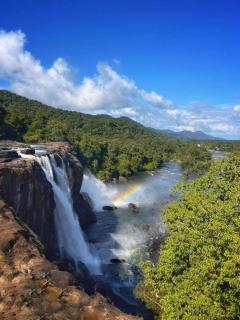 Namasthe Ayurveda and Yoga Retreat Cochin - 6