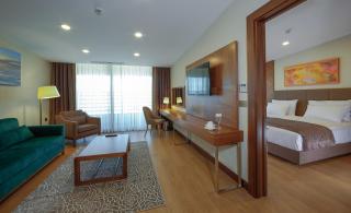 Ramada By Wyndham Bursa Cekirge Thermal & Spa - Bursa - 6