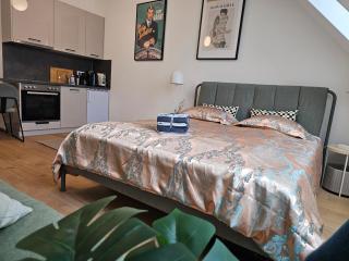 Private Studio Central Vienna - 0