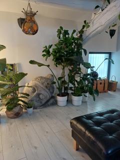 Chambres d'Hôtes avec Spa Privatif - Le Loft Gard - 9