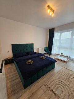 Studio Râșnov VMP Free Parking - 4